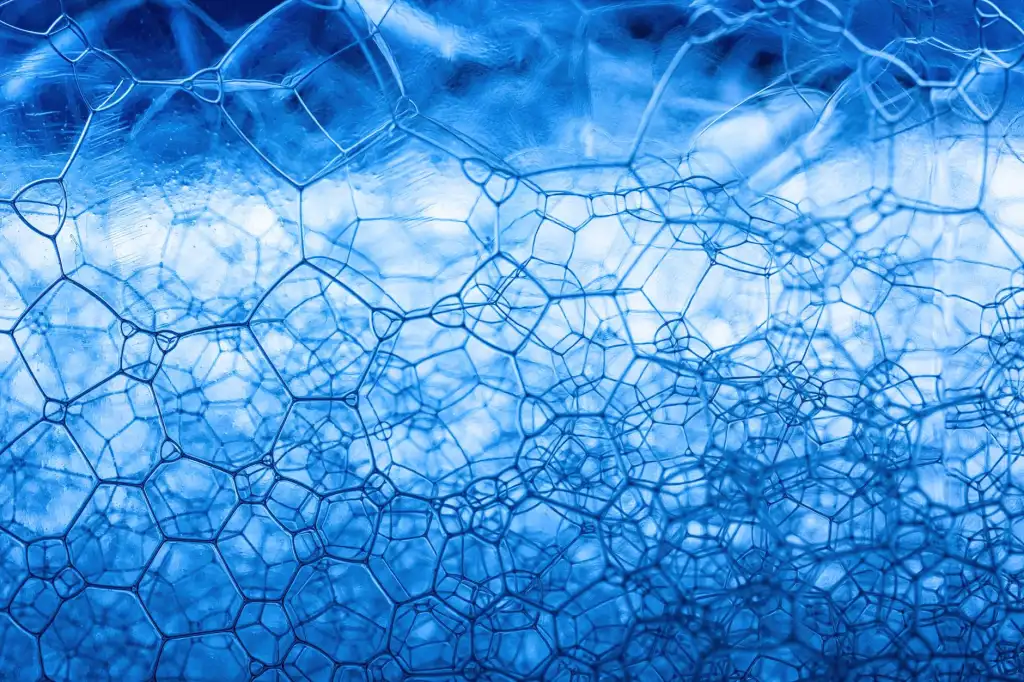 新疆货物运输行业数字化管理转型路径与实施要点