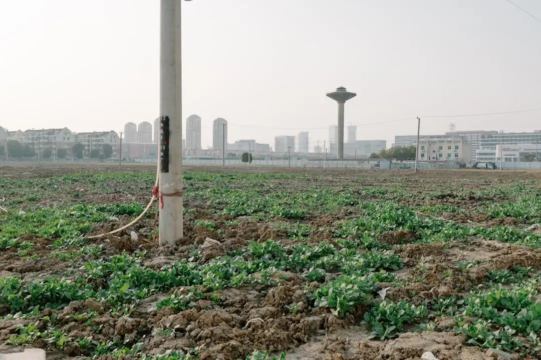 新疆一滕世纪物流有限公司货物运输车型参数与适用场景对比分析